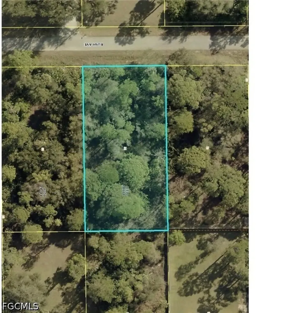 1117 Rush Avenue Lehigh Acres FL 33972
