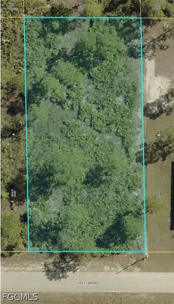 1310 Prospect Avenue Lehigh Acres FL 33972