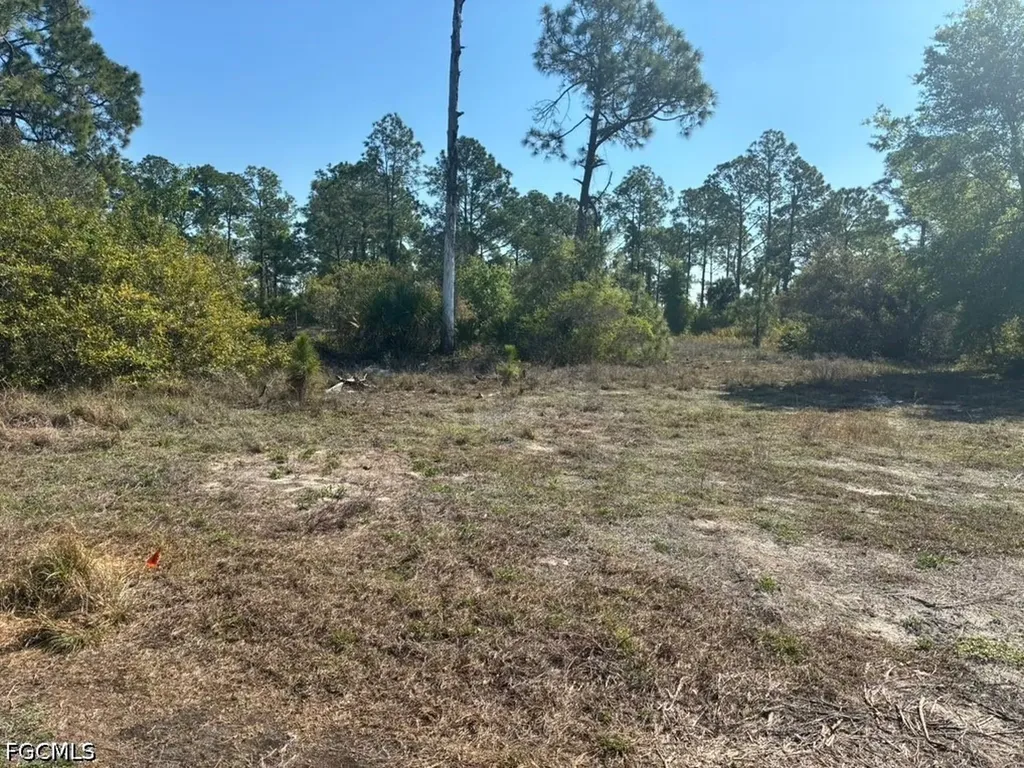 614 Fitch Avenue Lehigh Acres FL 33972