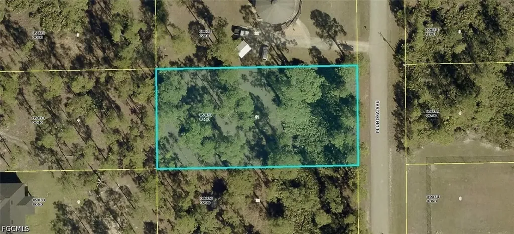 1017 Plumosa Avenue Lehigh Acres FL 33972