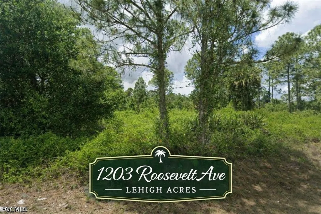 1203 Roosevelt Avenue Lehigh Acres FL 33972