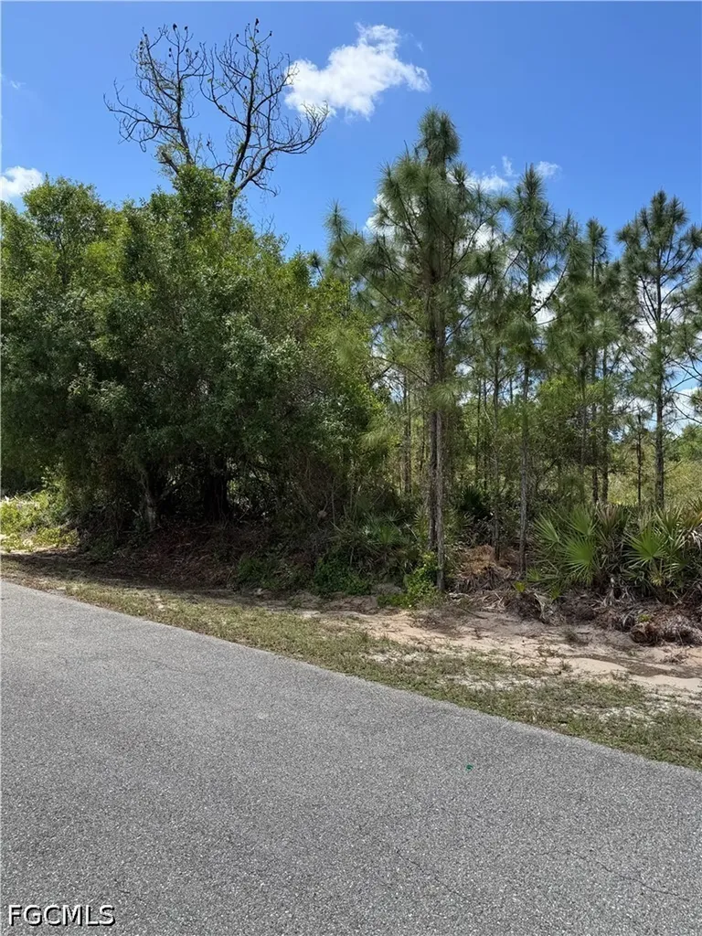 1507 Euclid Avenue Lehigh Acres FL 33972