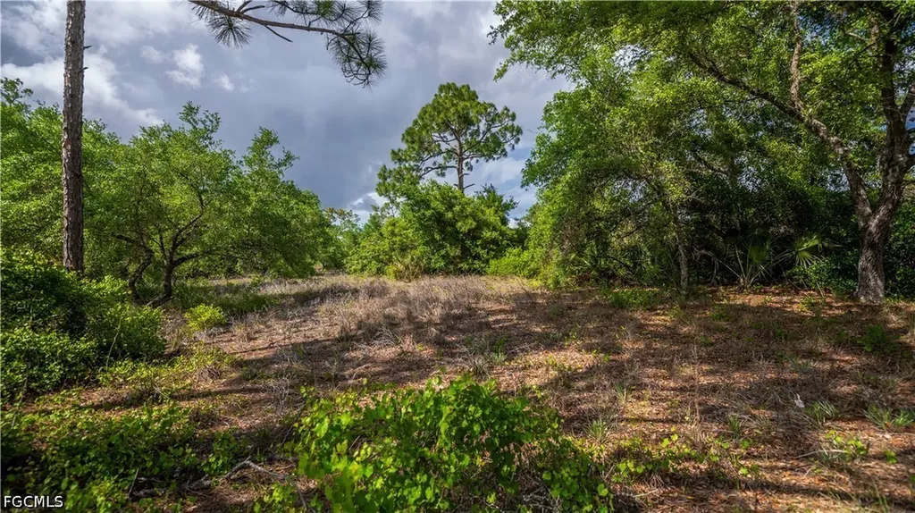 7906 23rd Place Labelle FL 33935
