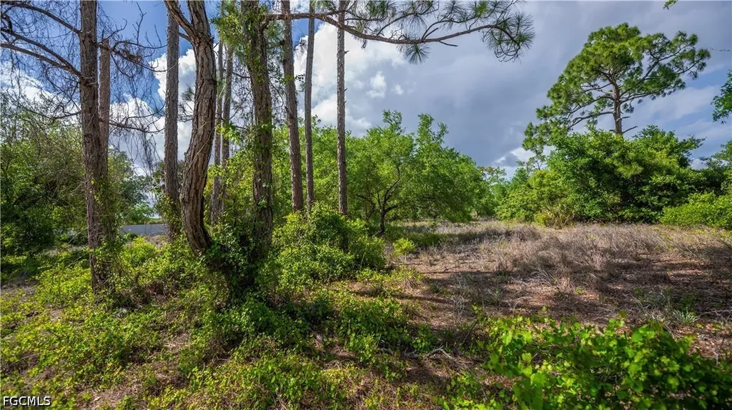 7906 23rd Place Labelle FL 33935