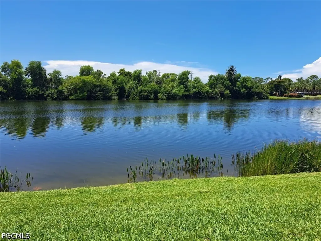 11271 Tamarind Cay Lane Fort Myers FL 33908