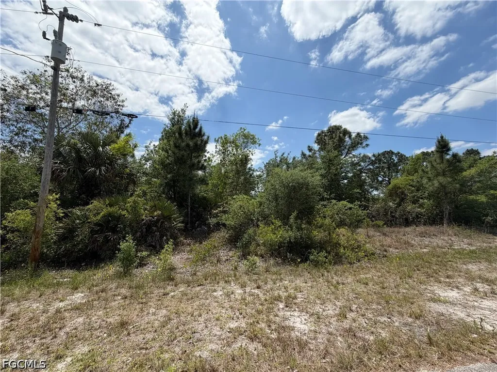 662 Chemstrand Street E Lehigh Acres FL 33974