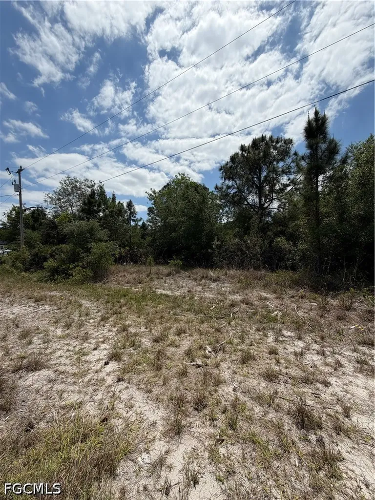 662 Chemstrand Street E Lehigh Acres FL 33974