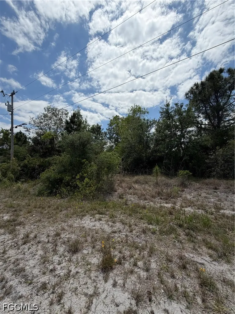 662 Chemstrand Street E Lehigh Acres FL 33974