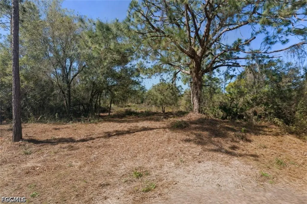 1409 Congress Avenue Lehigh Acres FL 33972