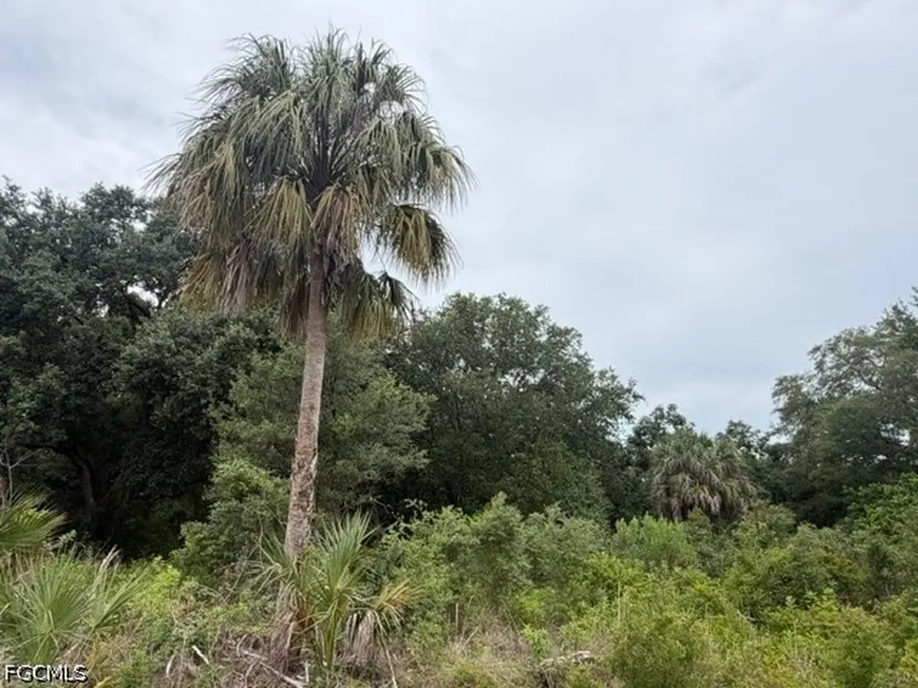 1905 Hamilton Avenue Lehigh Acres FL 33972