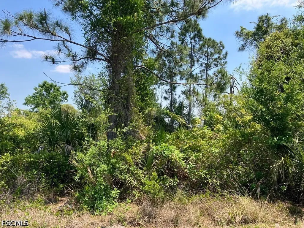 3468 Jennings Boulevard Port Charlotte FL 33981