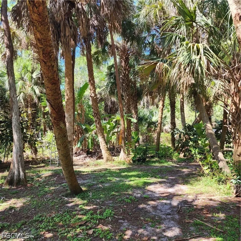 381 8th Street NE Naples FL 34120