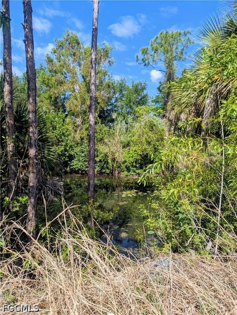 3708 NE 23rd Avenue Cape Coral FL 33909