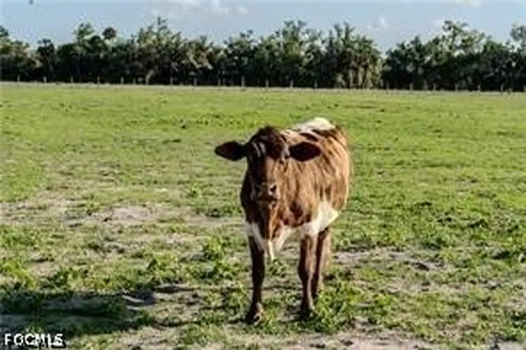 515 Norris Road Fort Denaud FL 33935