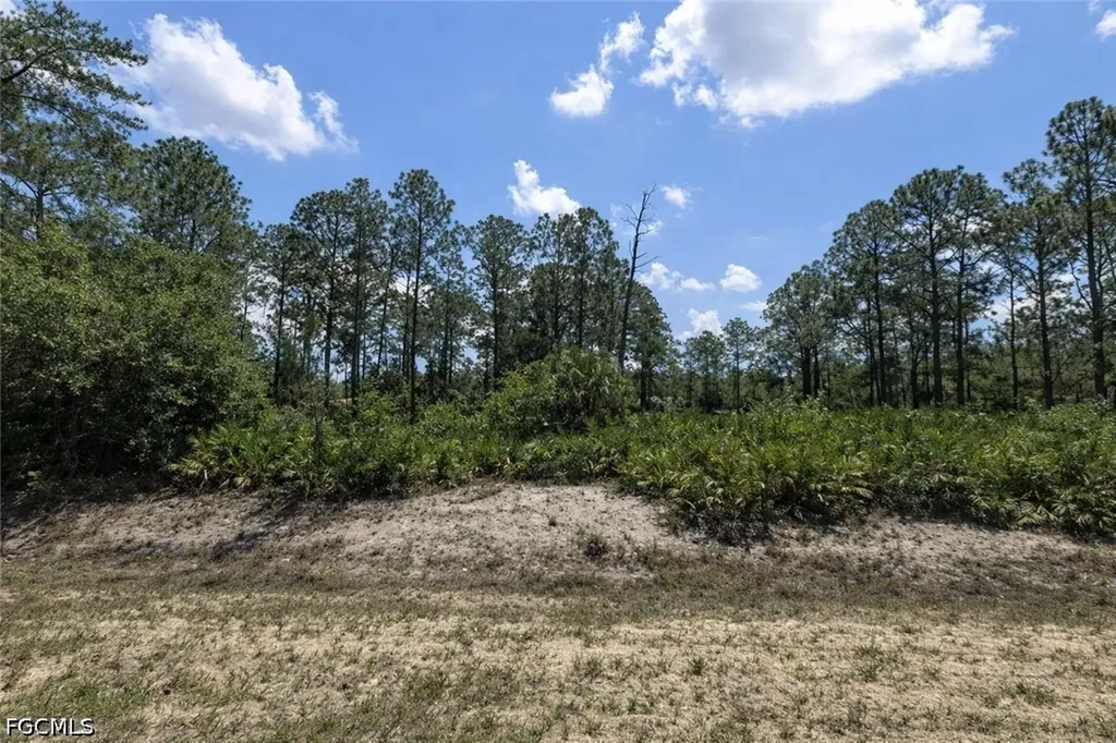 22 Wellington Avenue Lehigh Acres FL 33936