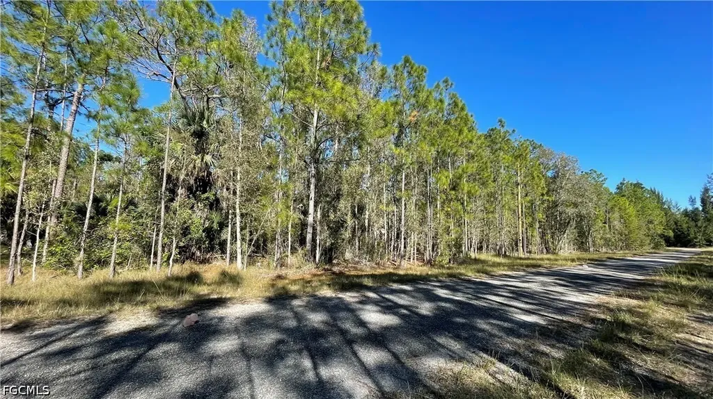 308 Rosanna Avenue Lehigh Acres FL 33972