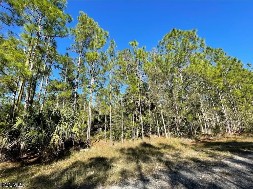 308 Rosanna Avenue Lehigh Acres FL 33972