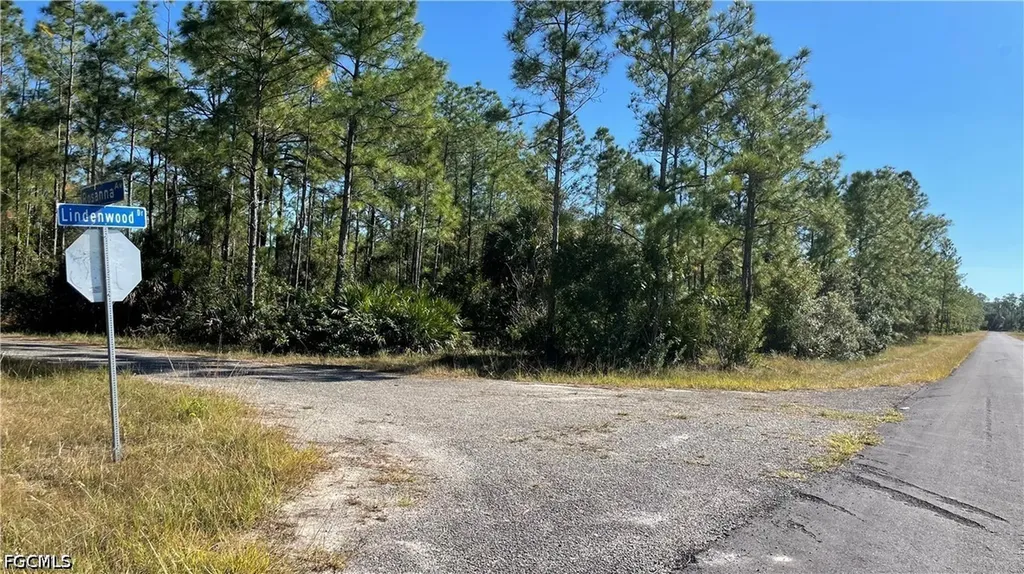 308 Rosanna Avenue Lehigh Acres FL 33972