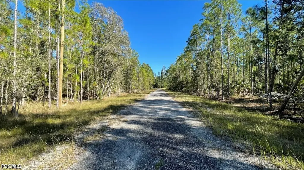 308 Rosanna Avenue Lehigh Acres FL 33972