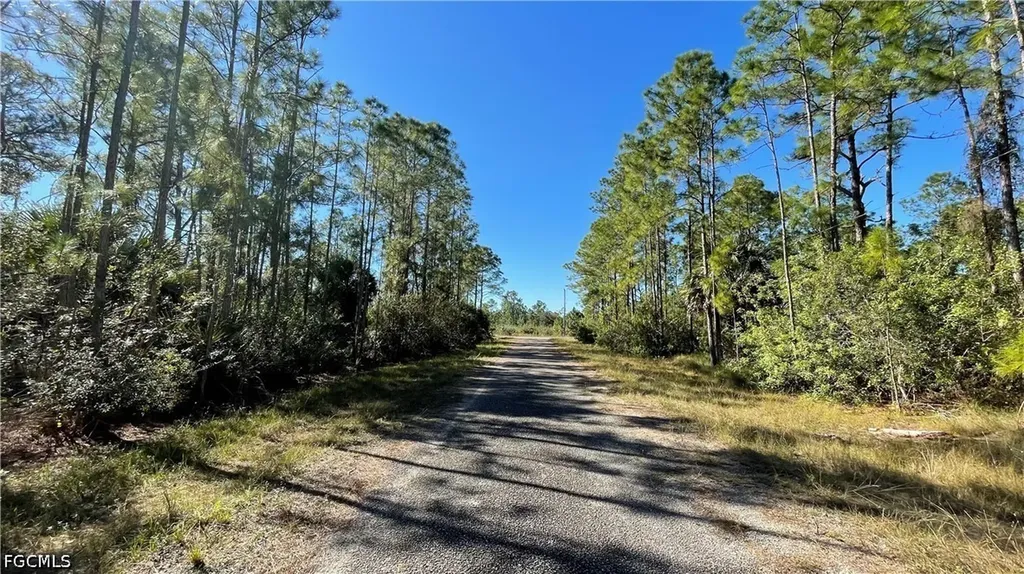 308 Rosanna Avenue Lehigh Acres FL 33972