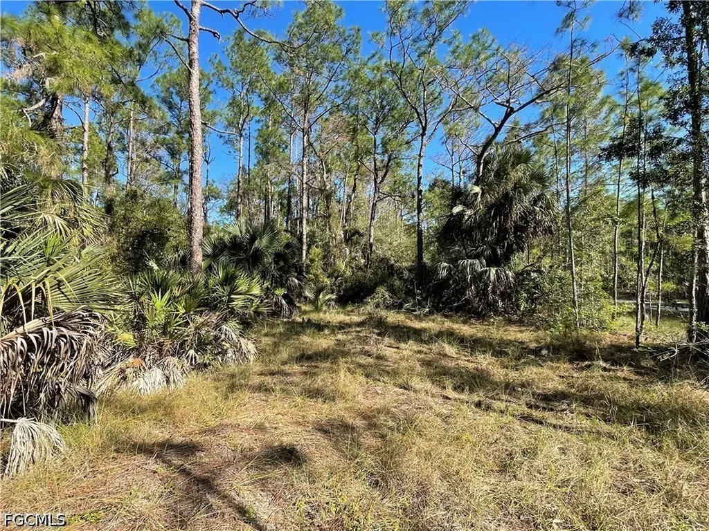 308 Rosanna Avenue Lehigh Acres FL 33972