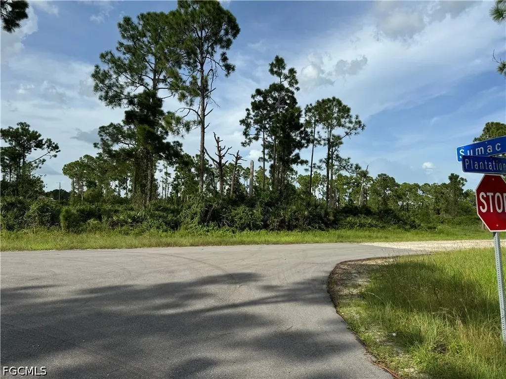 1123 Plantation Road Lehigh Acres FL 33974