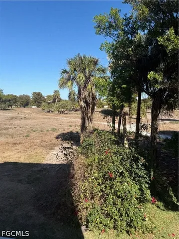 4015 Palm Tree Boulevard Cape Coral FL 33904