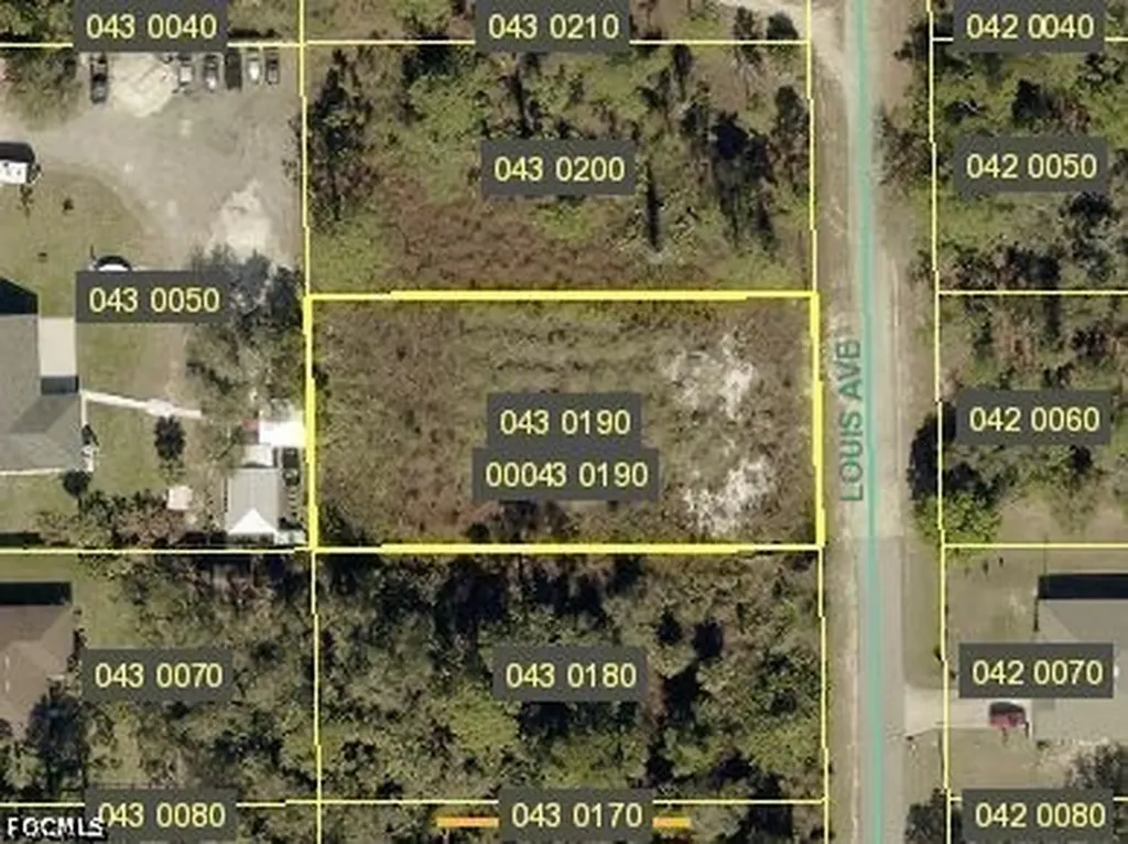 713 Louis Avenue Lehigh Acres FL 33972