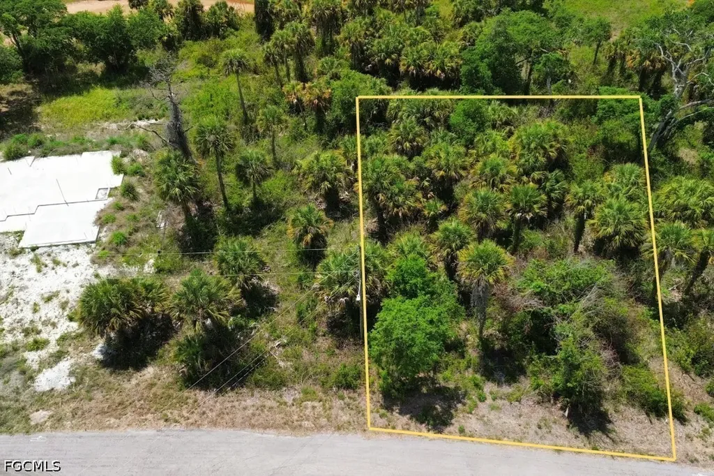 1955 Walcott Loop Lehigh Acres FL 33972