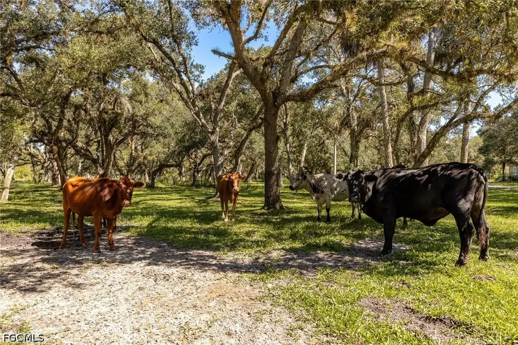 2348 Nine Mile Road Labelle FL 33935
