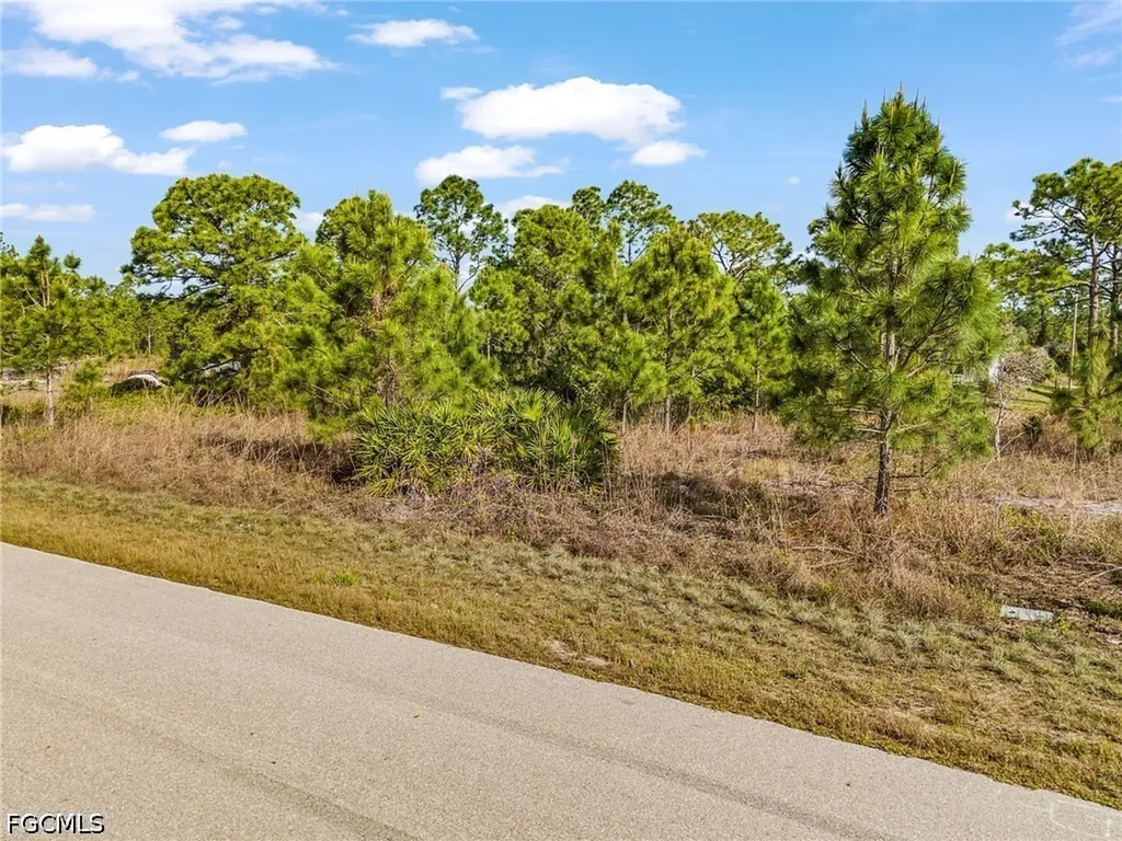 1113 Darling Street E Lehigh Acres FL 33974