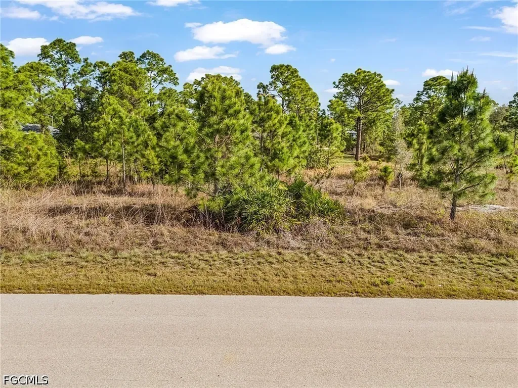 1113 Darling Street E Lehigh Acres FL 33974