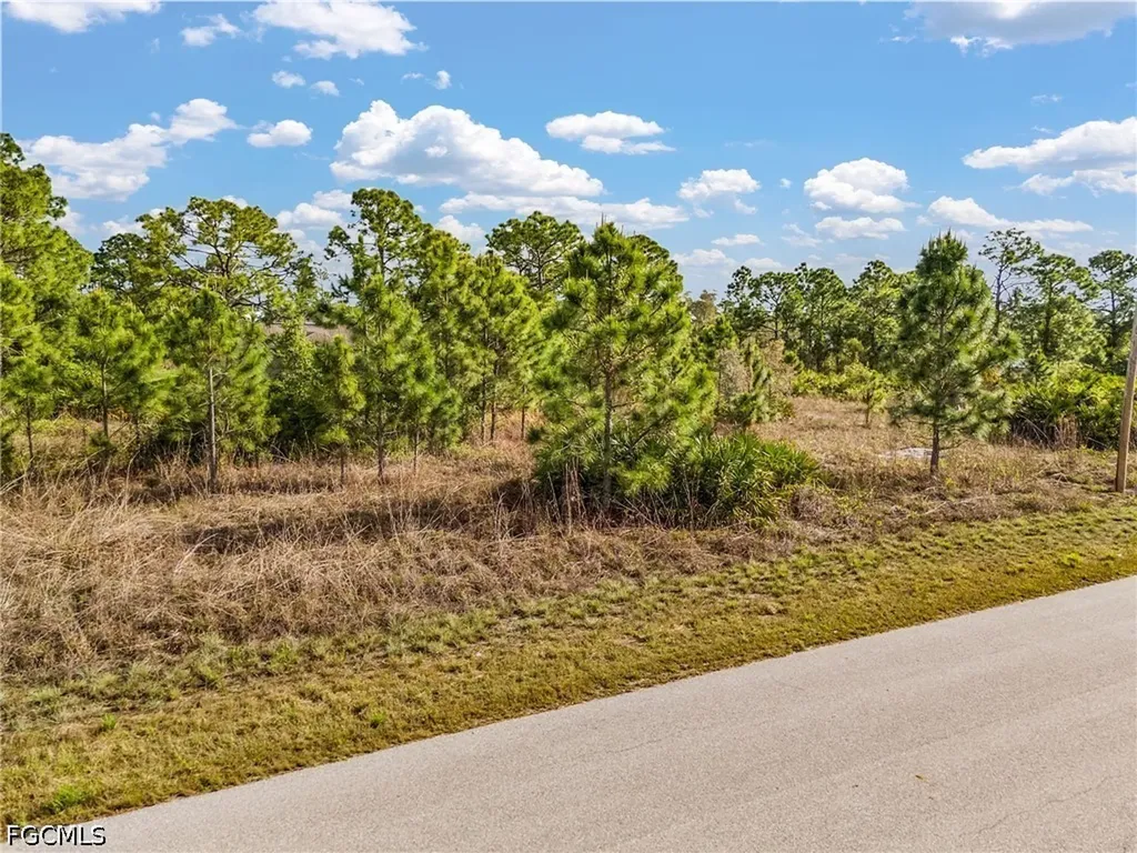 1113 Darling Street E Lehigh Acres FL 33974