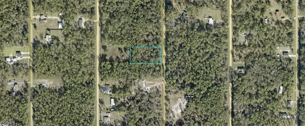 10065 Carpenter Avenue Hastings FL 32145