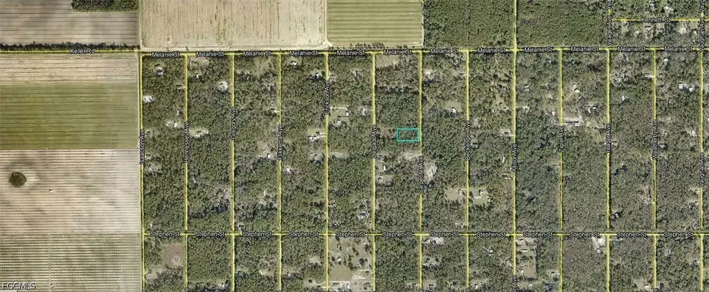10065 Carpenter Avenue Hastings FL 32145
