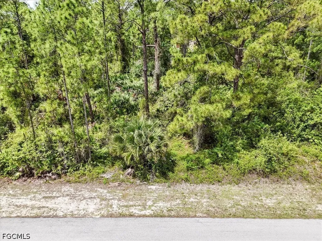 2117 Grayson Avenue Alva FL 33920
