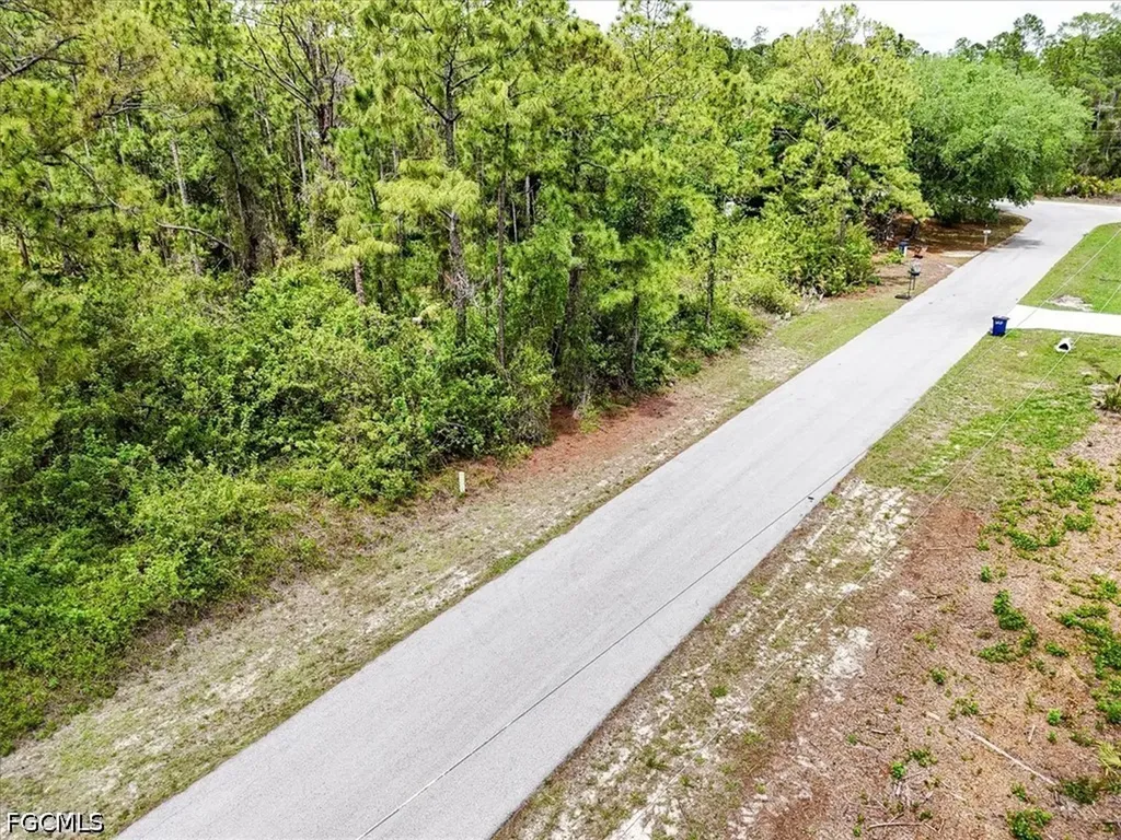 2117 Grayson Avenue Alva FL 33920