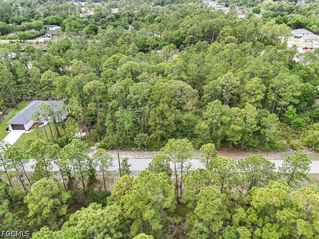 2117 Grayson Avenue Alva FL 33920