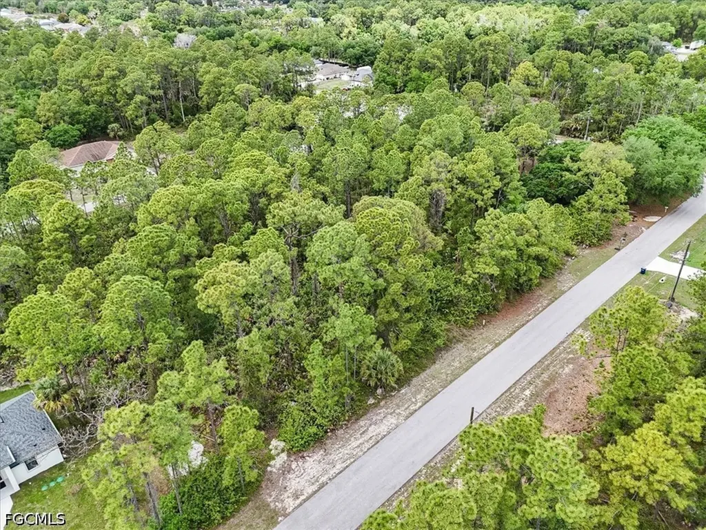 2117 Grayson Avenue Alva FL 33920