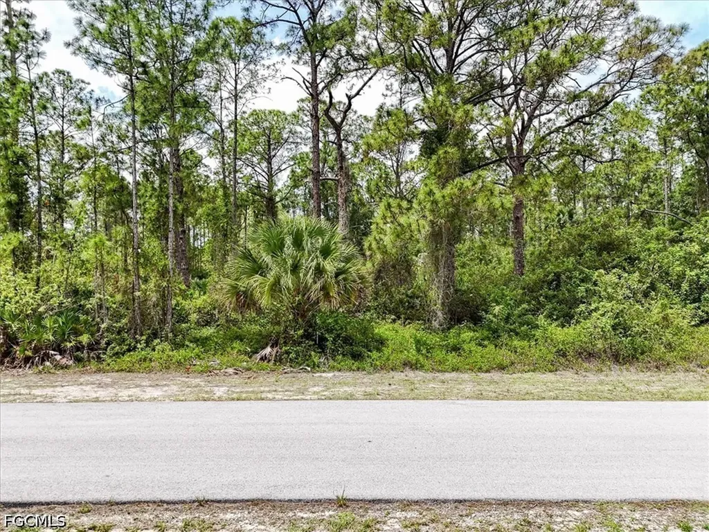 2117 Grayson Avenue Alva FL 33920