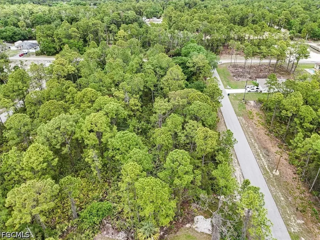 2117 Grayson Avenue Alva FL 33920
