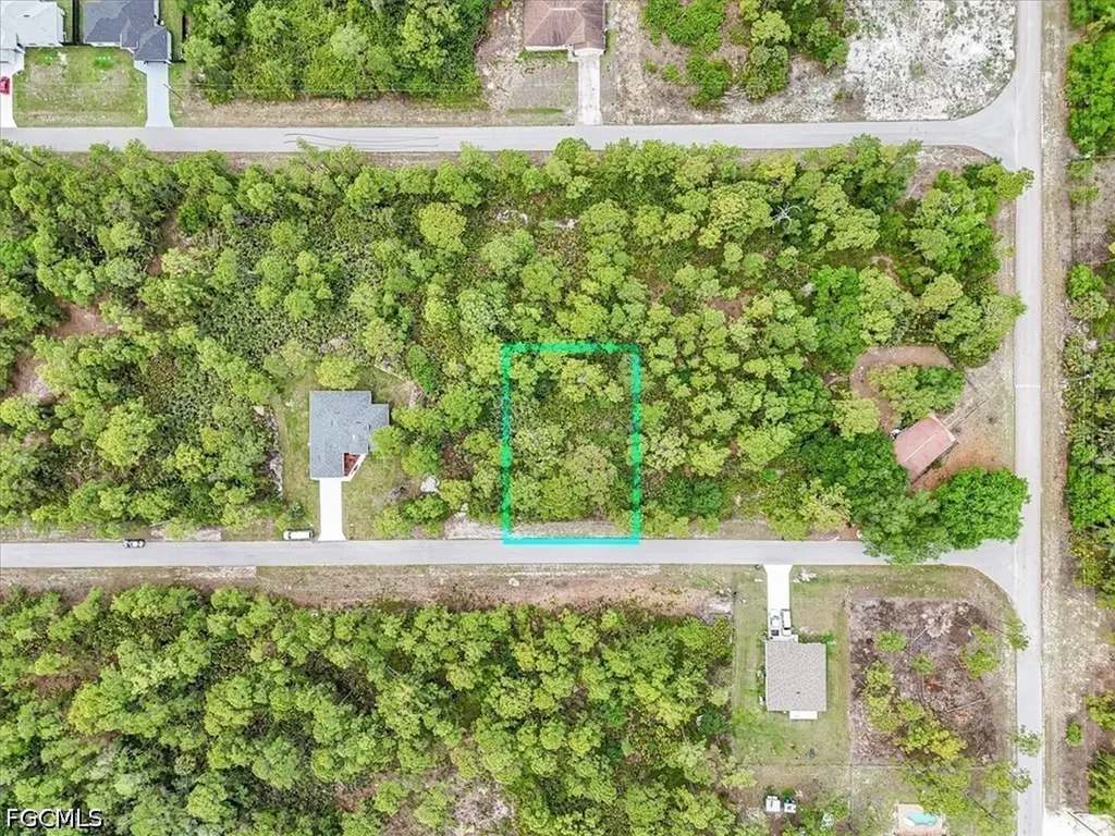 2117 Grayson Avenue Alva FL 33920