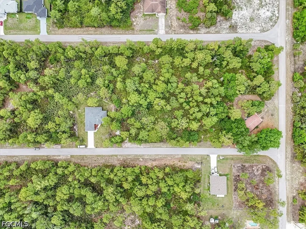 2117 Grayson Avenue Alva FL 33920