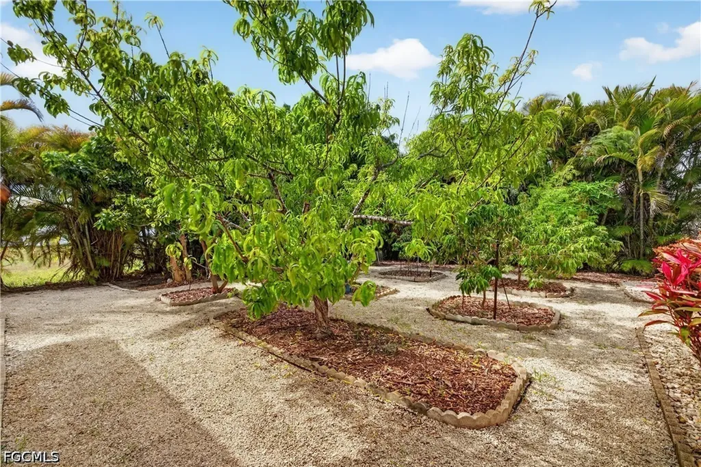 3605 SW 5th Street Cape Coral FL 33991