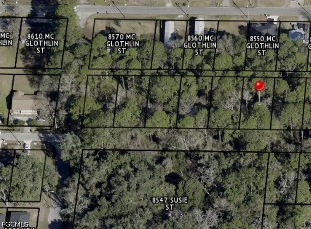 Buttercup Street Jacksonville FL 32210