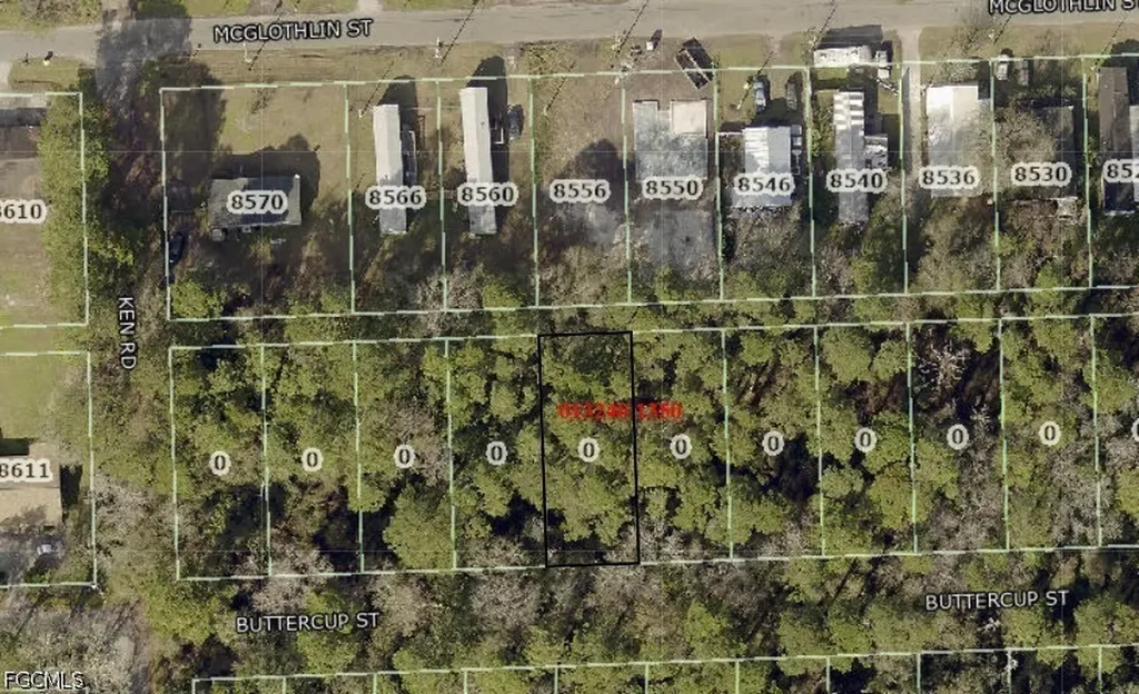 Buttercup Street Jacksonville FL 32210