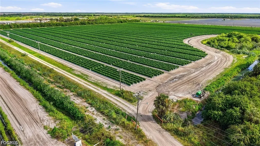6150 Pringle Lane Immokalee FL 34142