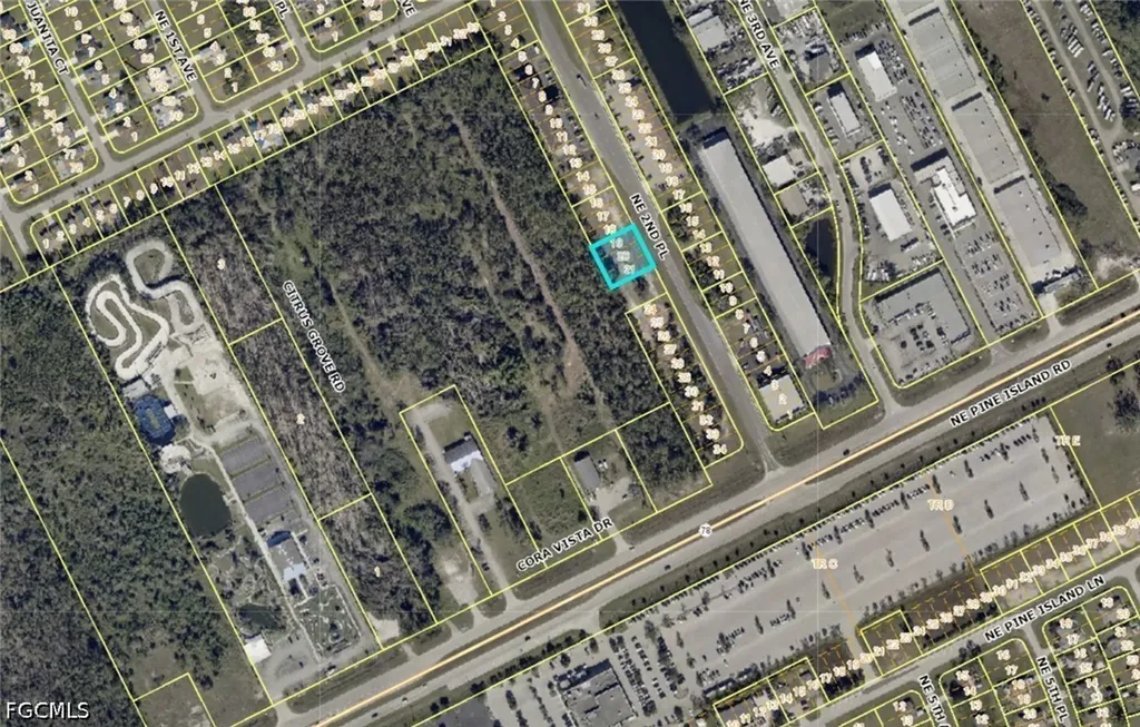 330 NE 2nd Place Cape Coral FL 33909