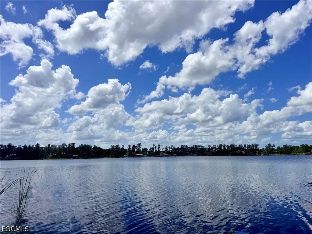 14232 Chisholm Lane Odessa FL 33556