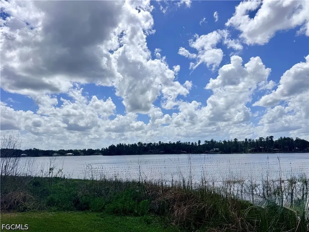 14232 Chisholm Lane Odessa FL 33556